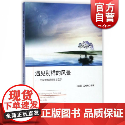 遇见别样的风景 小学德育课堂教学启示 提高德育能力 上海教育出版社