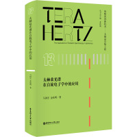 太赫兹光谱在自旋电子学中的应用