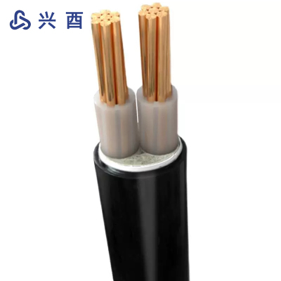 兴酉 铜芯电力电缆线 YJV2*2.5 米