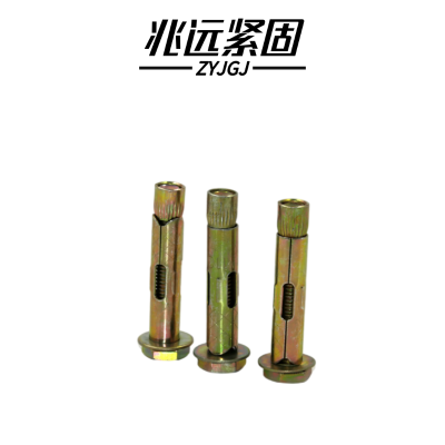 兆远紧固 内膨胀螺丝(个)(10*100)