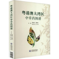 音像粤港澳大湾区草图谱夏连虎 [等]主编