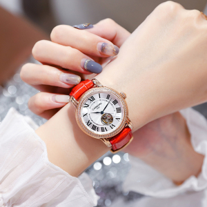 正品嘉年华CARNIVAL手表2019新款女表机械表 女士腕表气质休闲时尚真皮带防水个性镂空镶钻女表8052