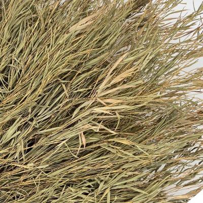 匹牧竹扫把4斤木柄竹枝单位:把