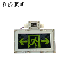 利成照明 防爆安全出口指示灯 LC1220-6W-双向