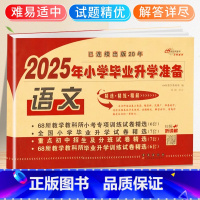 语文 小学升初中 [正版]2025小升初试卷真题卷语文必刷题人教版小学毕业系统总复习资料六年级下册测试卷全套同步练习题名