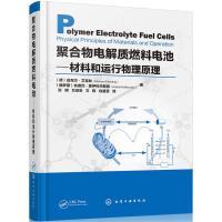 音像聚合物电解质燃料电池:材料和运行物理原理