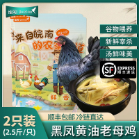 [苏鲜生推荐]雀淘 皖南黑凤黄油老母鸡2.6-2.9斤/只 2只装 新鲜现杀冷冻净膛竹林慢养走地鸡