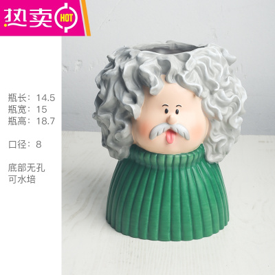 北欧个性花瓶仿真花插花花器可爱卡通人脸客厅电视柜家用饰品摆设FENGHOU阿尔伯特▪爱因斯坦-空盆