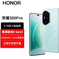荣耀300 Pro 茶卡青 16GB+512GB 第三代骁龙8芯 5G 5300毫安青海湖电池 100W快充 拍照手机