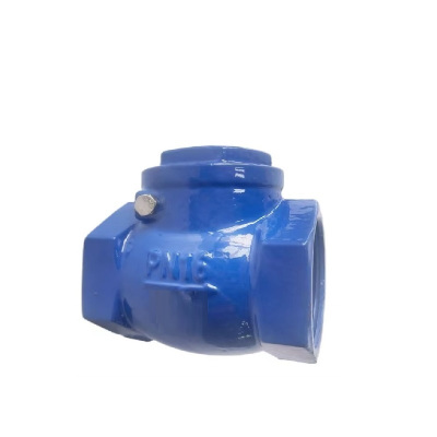 伟鹏双兴 蓝色铸铁丝扣止回阀 DN50 台