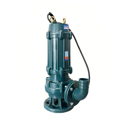 卡西斯顿 水泵潜污泵排污泵 100WQ60-10-4 台