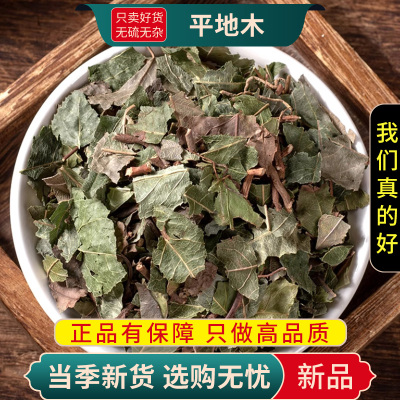 甄选矮地茶100克平地木不出林紫金牛平地木干货煮水茶9260