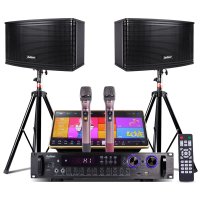 爱浪(AvliGHT)MK100-10套装家庭影院KTV音响客厅电视会议音箱卡拉OK无线U段话筒松川国际智能语音点歌机