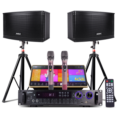 爱浪(AvliGHT)MK100-10套装家庭影院KTV音响客厅电视会议音箱卡拉OK无线U段话筒松川国际智能语音点歌机