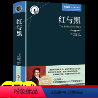 [英汉对照]红与黑 [正版]简爱原著中文英汉对照互译的书籍全译本中英文双语版原版无删减完整版适合初中高中生大学生英语小说