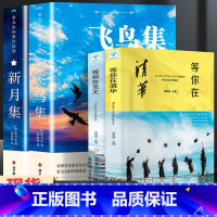 飞鸟集+新月集+等你在清华北大[4册] [正版]飞鸟集泰戈尔诗选双语全2册 飞鸟集+新月集英汉对照双语版 生如夏花泰戈尔