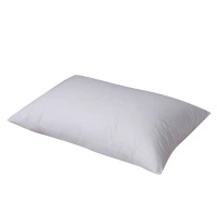 广亿隆 床上用品枕芯中枕 48*74cm 个