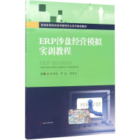 音像ERP沙盘经营模拟实训教程金洪国,邢俊,黄军生 主编