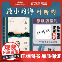 [店正版] 最小的海 余华作序 莫言苏童 我在岛屿读书 90后作家 叶昕昀 小说集 有烟火气的文学新声音 图书一团坚