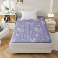 汉司家纺 120*200cm 柔软舒适 床垫 (计价单位:件)灰色