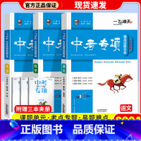 中考专项[语文+数学+英语] 初中通用 [正版]科目自选一飞冲天 中考专项 中考语文数学英语物理化学政治历史地理天津初中