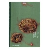 正版新书]记忆·流星 徐晨阳徐晨阳 著9787535685810