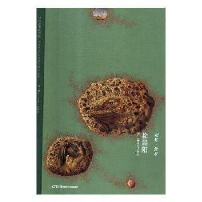 正版新书]记忆·流星 徐晨阳徐晨阳 著9787535685810