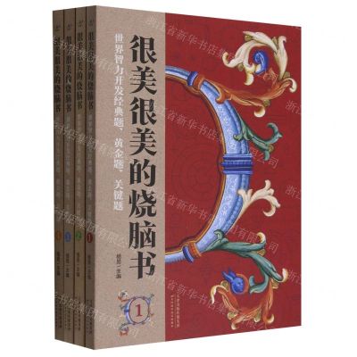 [N]很美很美的烧脑书(世界智力开发经典题黄金题关键题共4册)-9787574205482