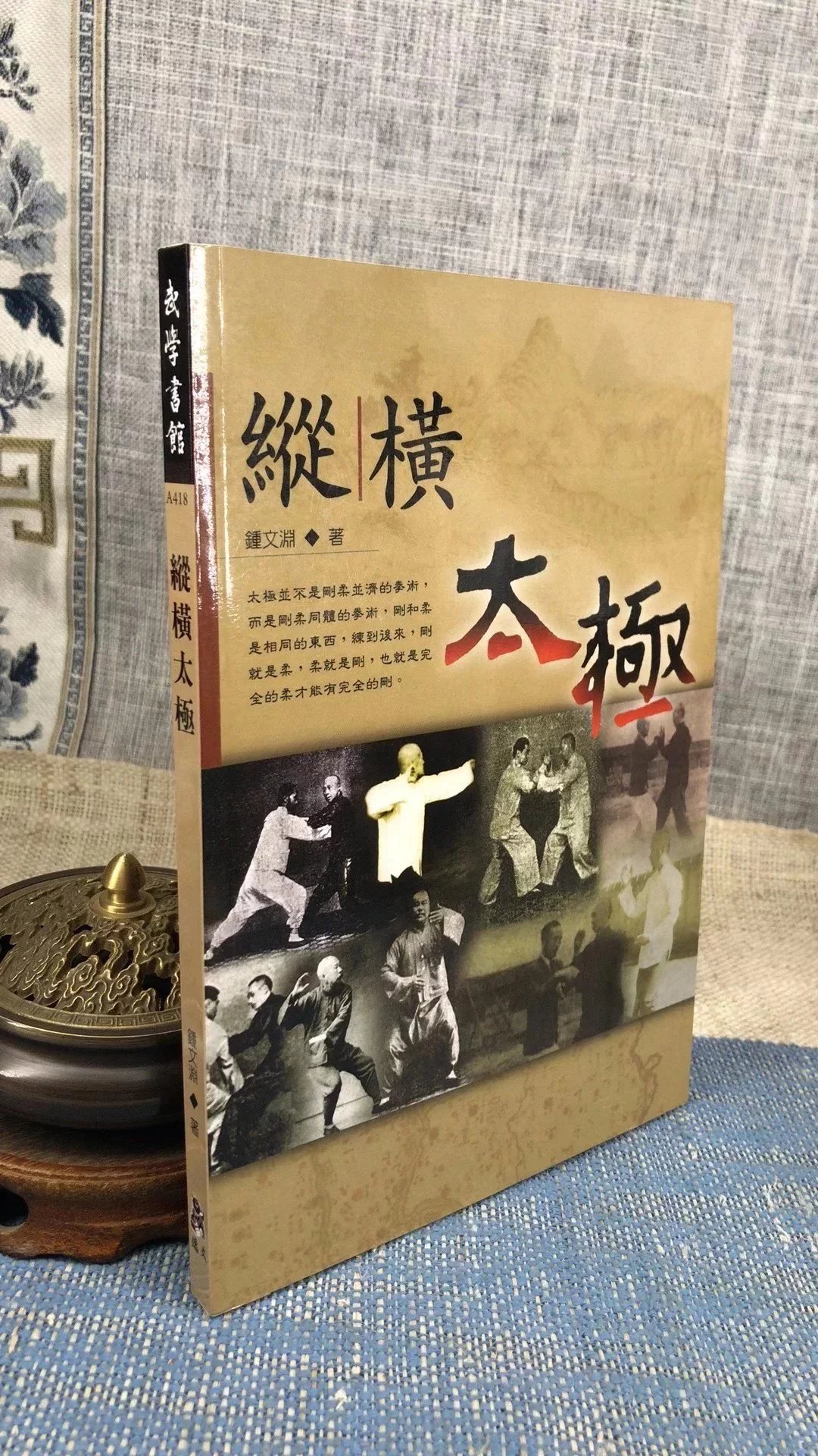 正版 纵横太极(二) 钟文渊 逸文武术