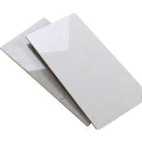 恒兴盛嘉 墙裙砖 厨卫砖 300*600mm 平方米