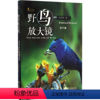 [正版]野鸟放大镜 许晋荣 著 生命科学/生物学 wxfx