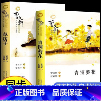 青铜葵花+草房子 [正版]青铜葵花曹文轩小学生三四五六年级上册下册课外阅读书籍寒假暑假儿童文学草房子青少年初中生的文学读