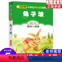 [正版] 兔子坡 彩图注音版 阅读系列小学生语文必读丛书 班主任6-10岁小学生一二三年级课外阅读书 北京教育出版社