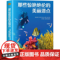 那些惊艳绝伦的美丽潜点 武鹏程 编 欧洲史社科 正版图书籍 海洋出版社