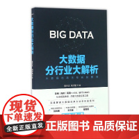 大数据分行业大解析