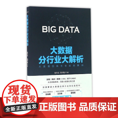 大数据分行业大解析