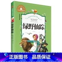 [正版]绿野仙踪 彩图注音版 世界文学名著宝库 6-12岁小学生一二三年级课外书儿童文学 小学生拼音版课外书 王芳