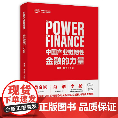 中国产业链韧性:金融的力量