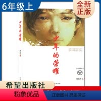 [正版]少年的荣耀 李东华著好书伴我成长六年级上册课外书希望出版社 6年级上学期好书 小学生暑假课外阅读书目 南通总仓