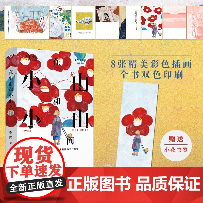 在小山和小山之间 李停著 妈妈能给的爱就是一次又一次得体地退出我的生命 毛尖/郑执动情推 荐现当代文学散文随笔