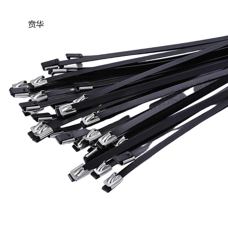 贲华 包塑不锈钢扎带 9x200mm 个