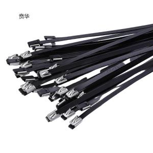 贲华 包塑不锈钢扎带 9x200mm 个