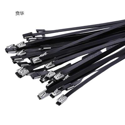 贲华 包塑不锈钢扎带 9x200mm 个