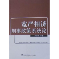 音像宽严相济刑事政策系统论刘沛谞
