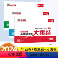 语文+数学+英语(三本套装) 小学升初中 [正版]备考2024一本小升初考卷大集结真题卷语文数学英语人教版必刷题小学升初
