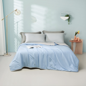 罗莱双人四季蚕丝被200×230cm绗缝轻盈保暖设计 蓝色 200*230cm