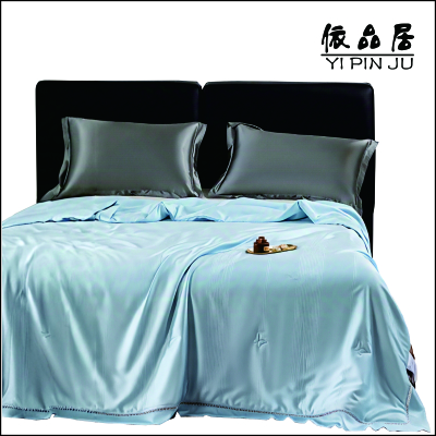 依品居赛维蚕丝夏凉被 YPJ-50106 条