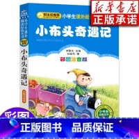 [正版]小布头奇遇记 彩图注音版阅读系列 6-10岁小学生一二三年级课外读物 北京教育出版社