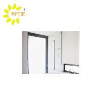 利可莉 卫浴镜子 60*80cm 块