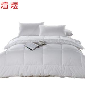 煊煜 羽丝绒被芯 防羽被芯 150*200cm 条